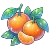 🍊