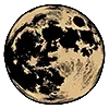 🌑