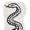 📜