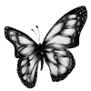 🦋