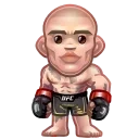 🥊