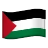 🇸🇾