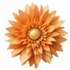 🌼