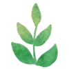 🌿