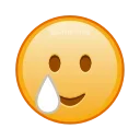 🥲