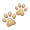🐾