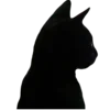 🐈‍⬛