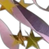 🌟