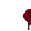 🌹