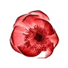 🌹