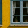 🏡
