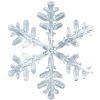 ❄️
