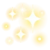 ✨