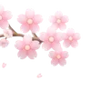 🌸
