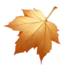 🍁