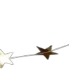 🌟