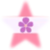 ⭐