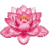 🌸