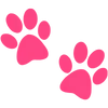 🐾