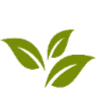 🌿