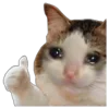 👍
