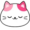 🐱
