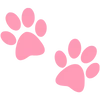 🐾