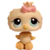 🐥