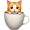 🐱