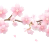 🌸