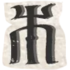 📜