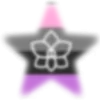 ⭐