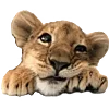 🦁