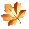 🍁