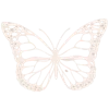 🦋