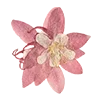 🌷