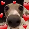😍