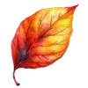 🍂