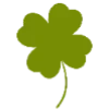 🍀