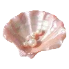 🐚