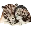 🐆