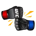 🥊