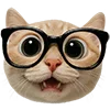 🤓