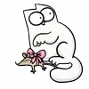 🐱