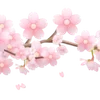 🌸