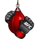 🥊