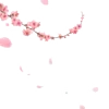 🌸
