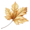 🍁