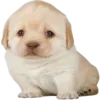 🫤