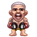 🥊